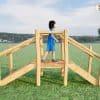 Robinia Vitaliteitsbrug