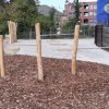 5063RB Duikelrek 3 delig robinia03