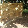 Vogel-kijk-wand Robinia