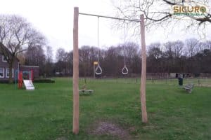 3115R Calisthenics Rings robinia 01