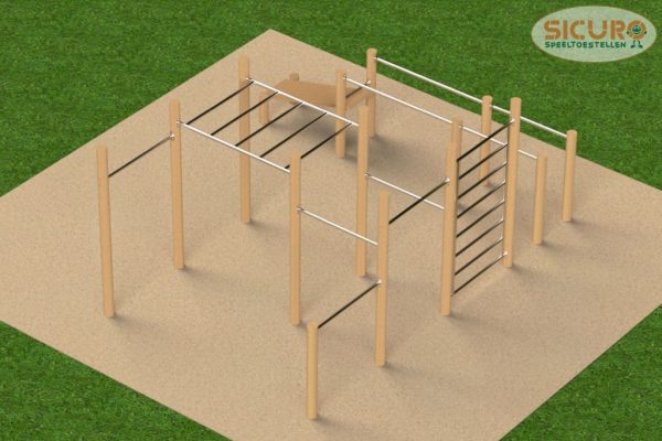 Calisthenics combitoestel 1