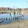 5048RAD Balanceerparcours in water Robinia05
