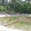 5048RAD Balanceerparcours in water Robinia06