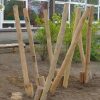 5048RE Stekstelt robinia stapstelt 02