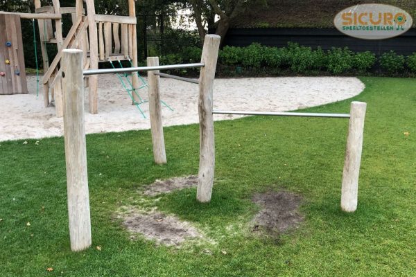 5063RC Ster Duikelrek Robinia 01