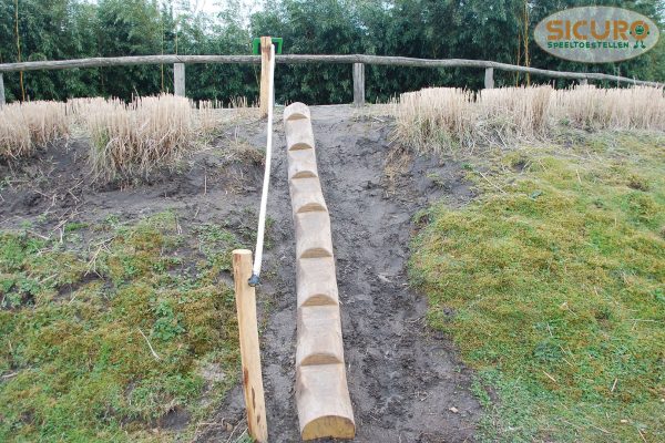 5093R Oploopboom met touw robinia02