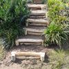 5095R Stammentrap robinia 03