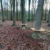 5097R Touwparcours stamplateau robinia natuurlijk spelen 02