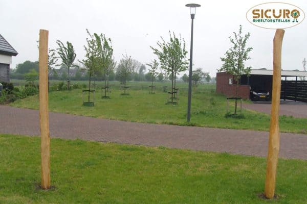 Open palendoel robinia 300*200cm