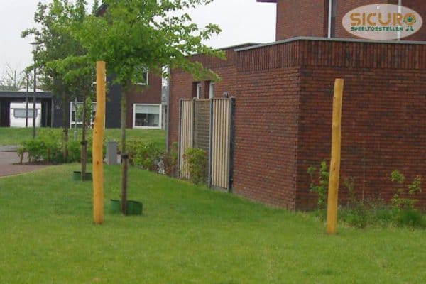 Open palendoel robinia 300*200cm