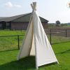 6001R Robinia Tippi03