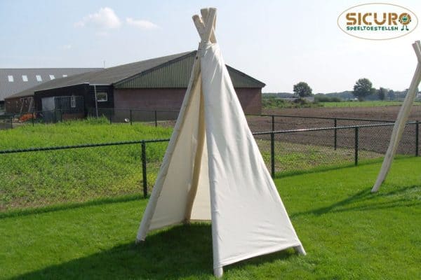 6001R Robinia Tippi03