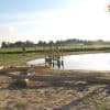 6023RC Klauterklim groot Robinia02