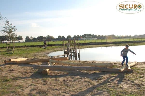 6023RC Klauterklim groot Robinia02
