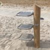 6129R Zandzeef trio robinia 01