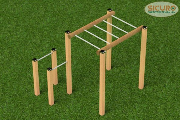 Monkeybar dip combi - Calisthenics 4 thuis