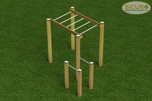 Monkeybar dip combi - Calisthenics 4 thuis