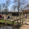 REC0005 Loopfietsjes Gethematiseerd05