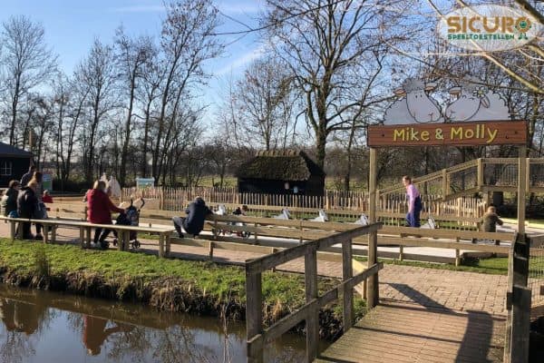 REC0005 Loopfietsjes Gethematiseerd05